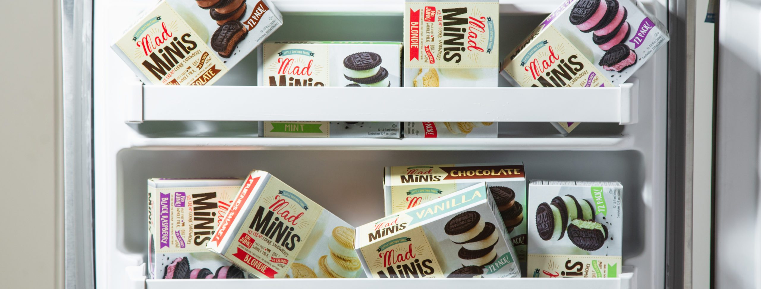 mad minis in the freezer image